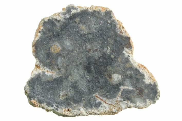 Lunar Meteorite ( g) Slice - Bechar #348170